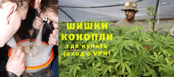 apvp Алзамай