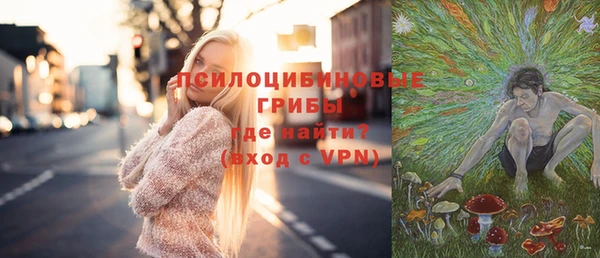 соль ск Армянск