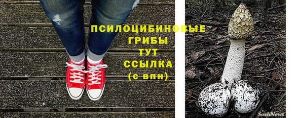 винт Краснослободск